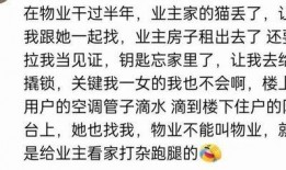 免费吃瓜群推荐,揭秘热门话题，畅享娱乐盛宴