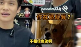 大杨哥喝酒爆料视频大全,揭秘娱乐圈不为人知的幕后故事